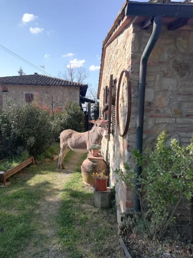 Agriturismo Grecinella 카솔레 델사 외부 사진