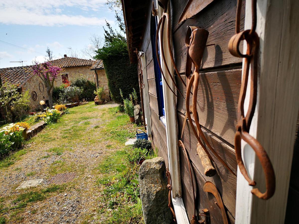Agriturismo Grecinella 카솔레 델사 외부 사진